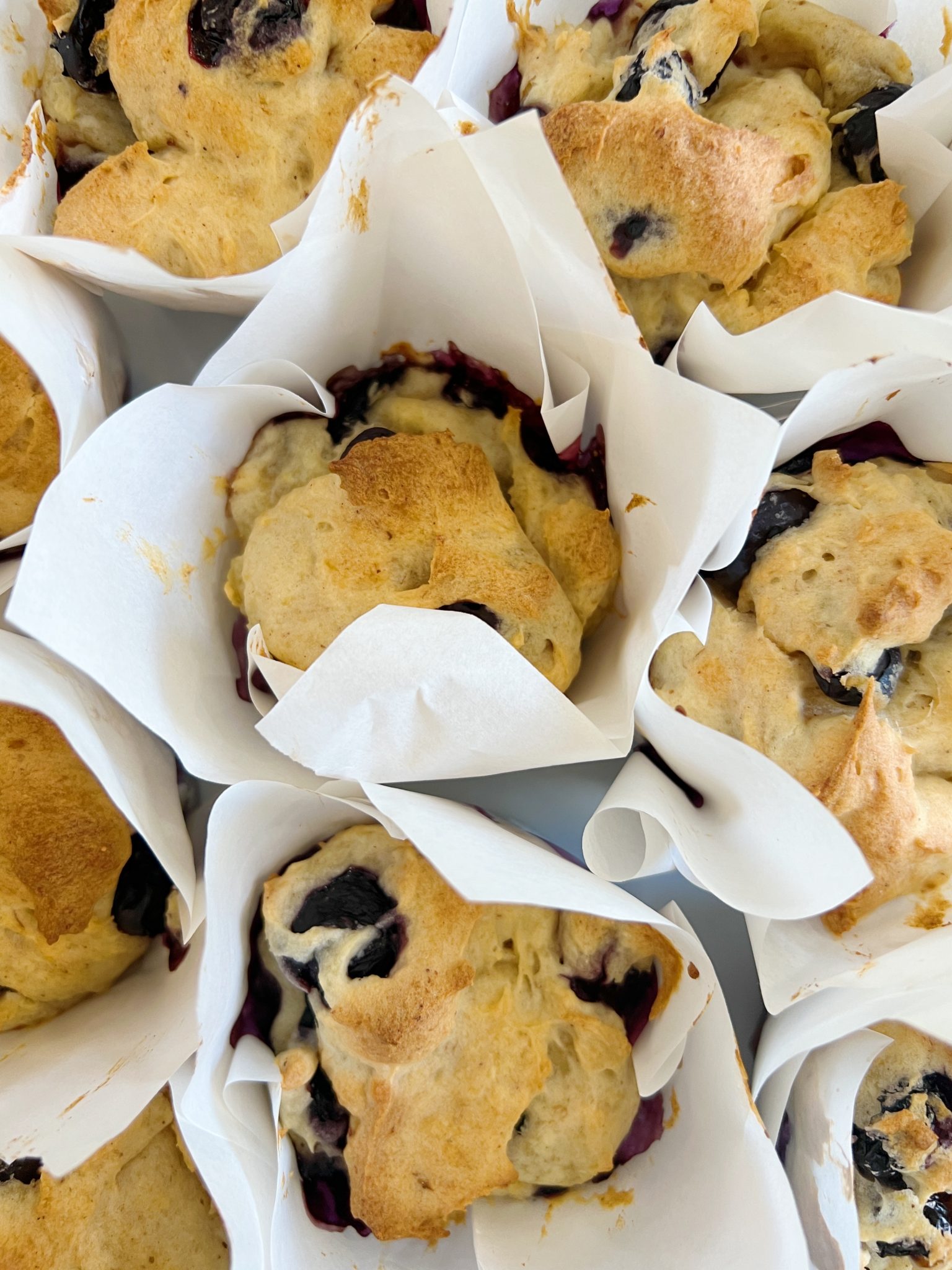 Lemon Blueberry Gluten Free Muffin
