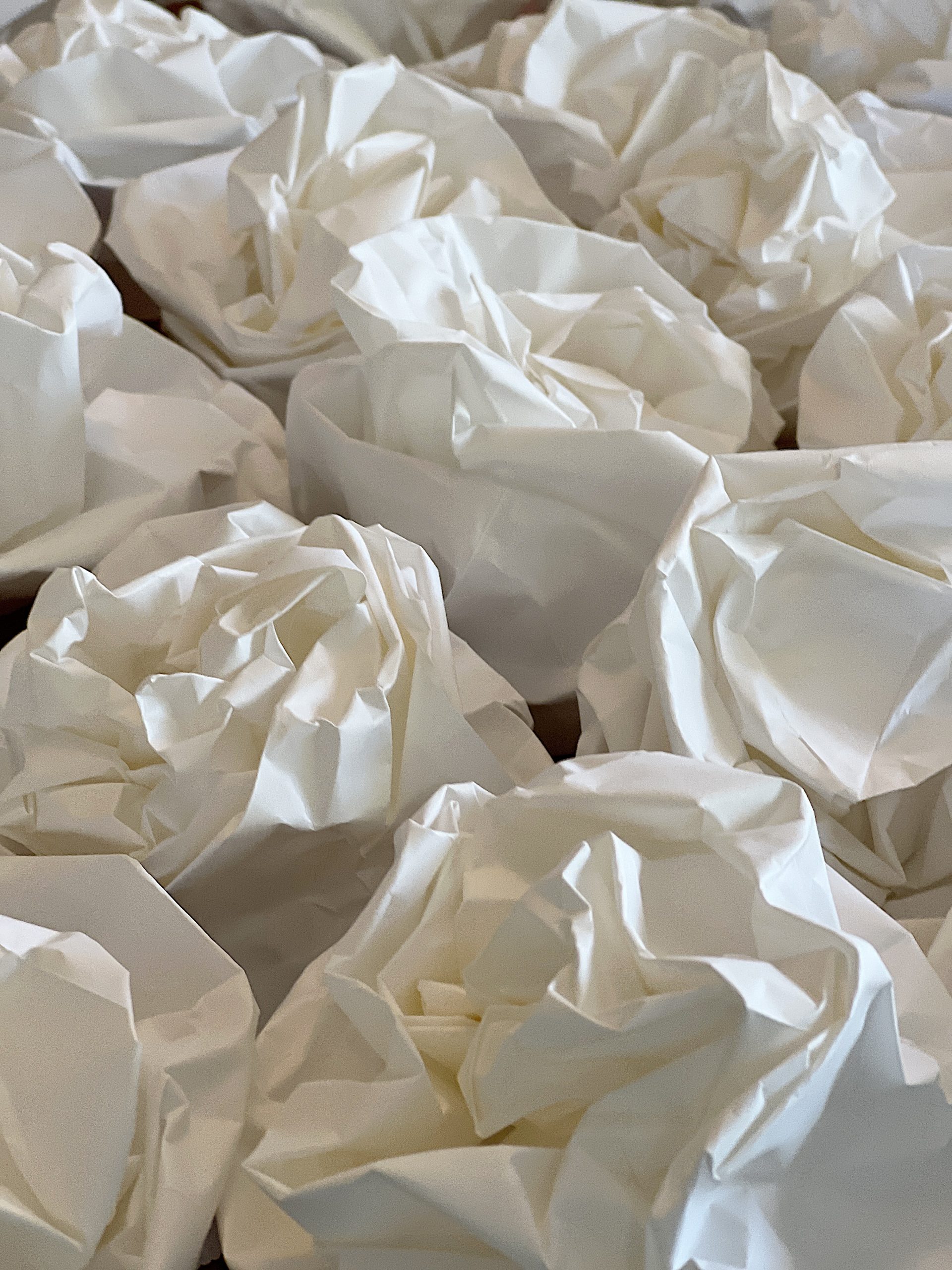 Paper Bag White Flowers