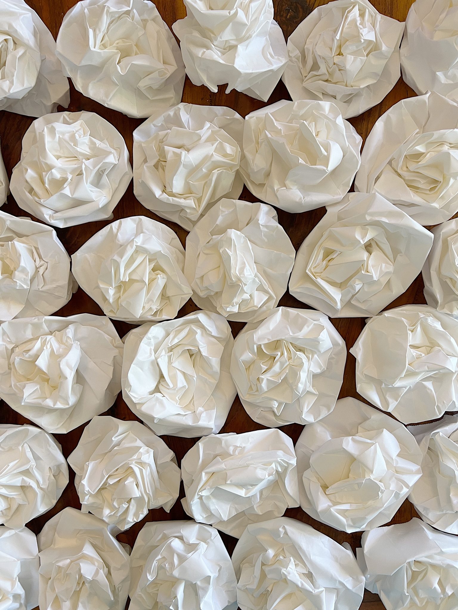 Paper Bag White Flowers.