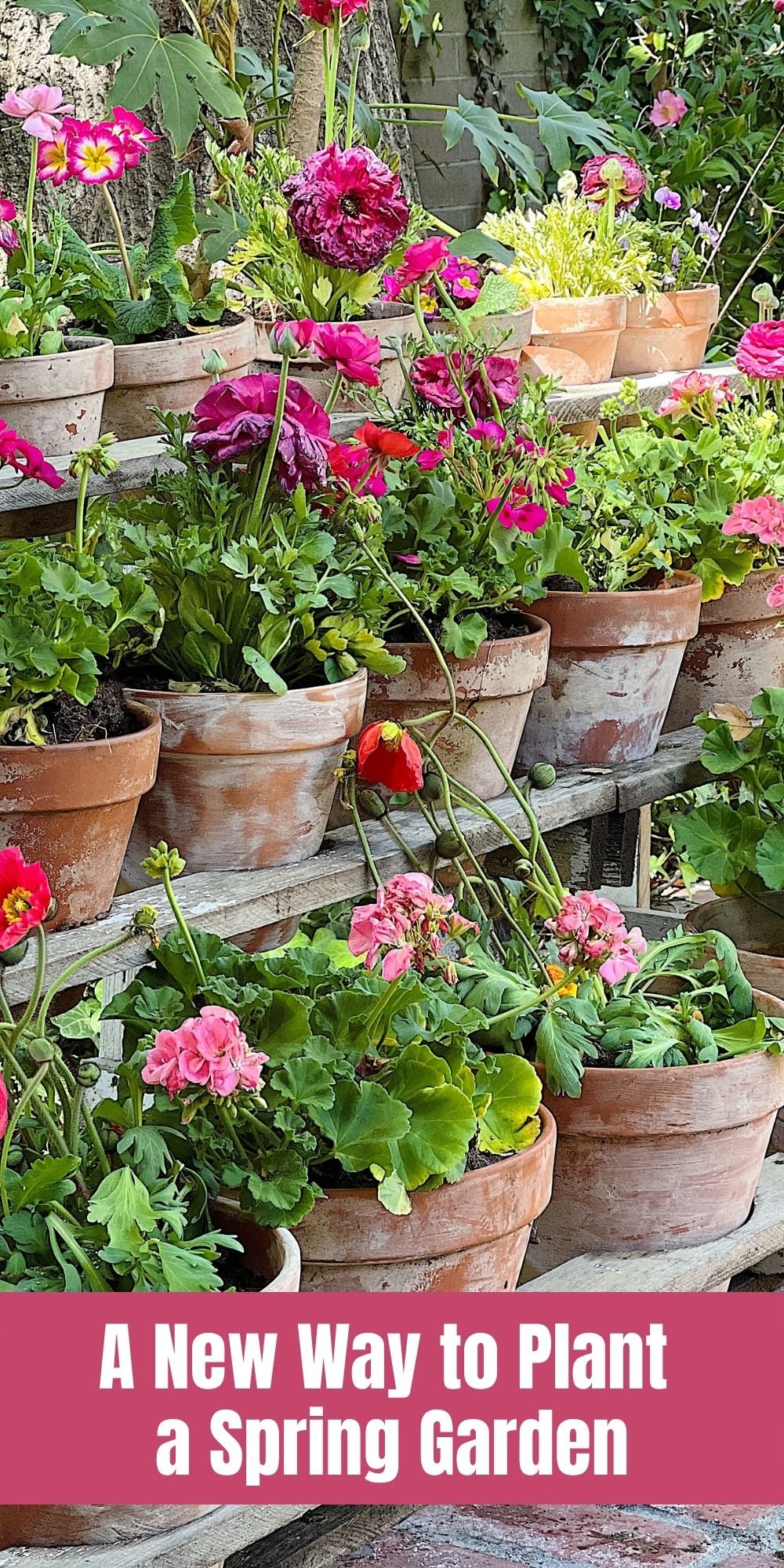 I am getting my spring garden ready by preparing my pots and raised beds with my new favorite potting mix. I am also adding a cutting garden!