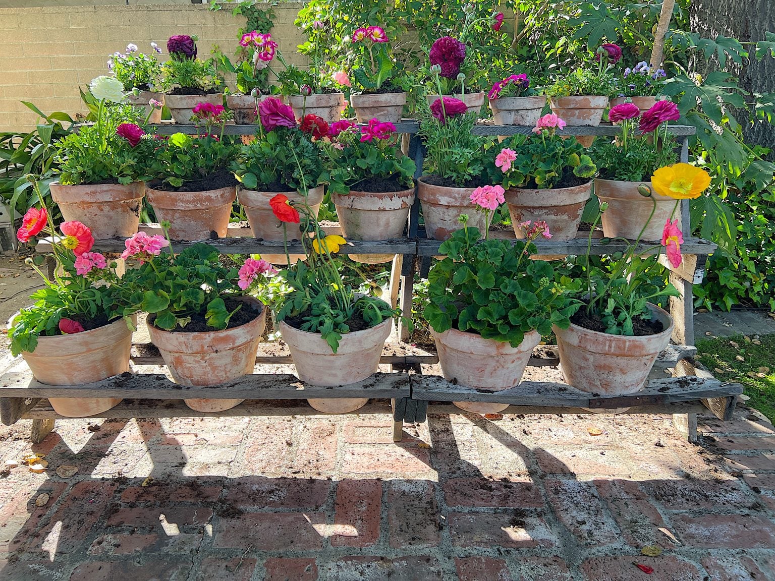 A New Way to Plant a Spring Garden