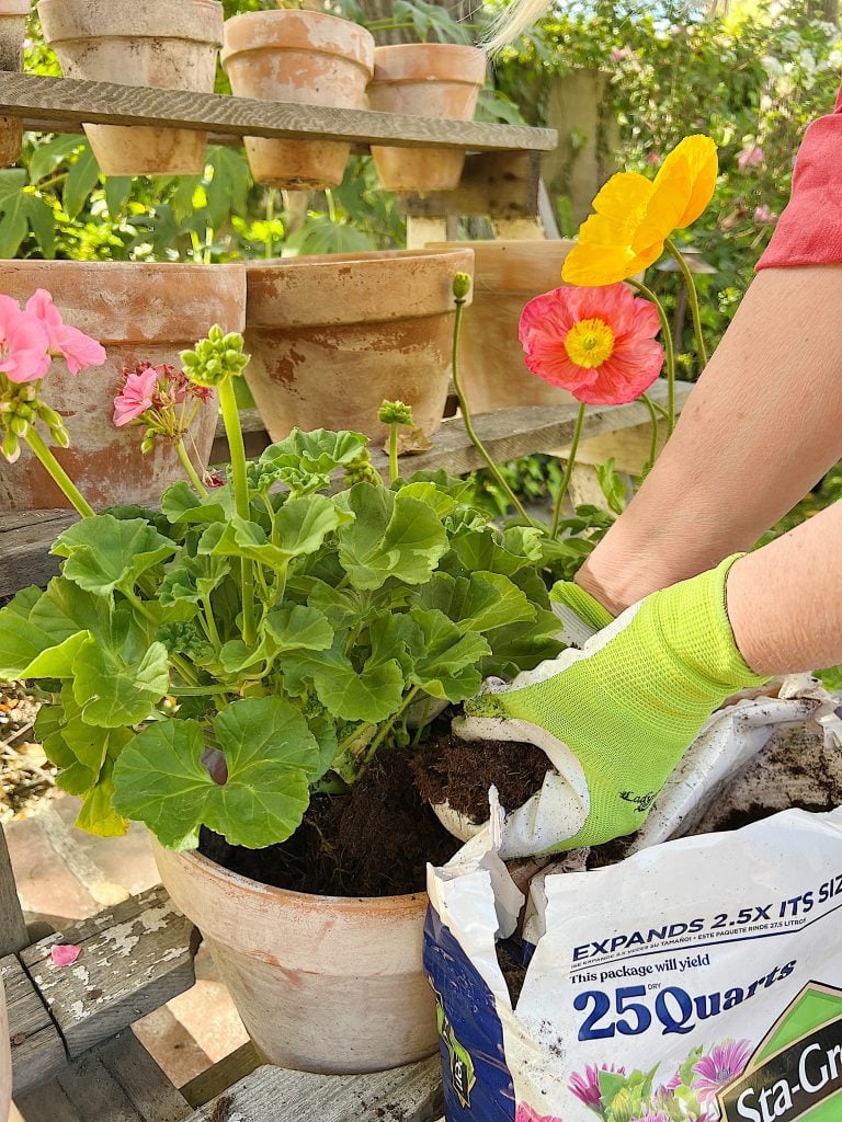 A New Way to Plant a Spring Garden