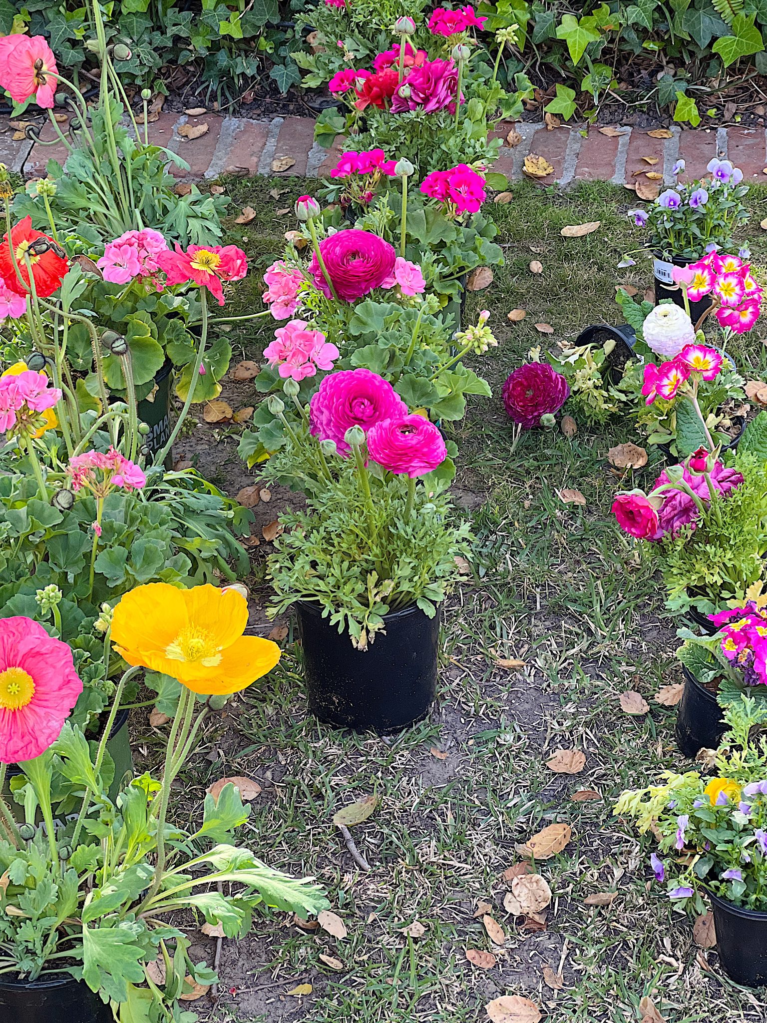 A New Way to Plant a Spring Garden