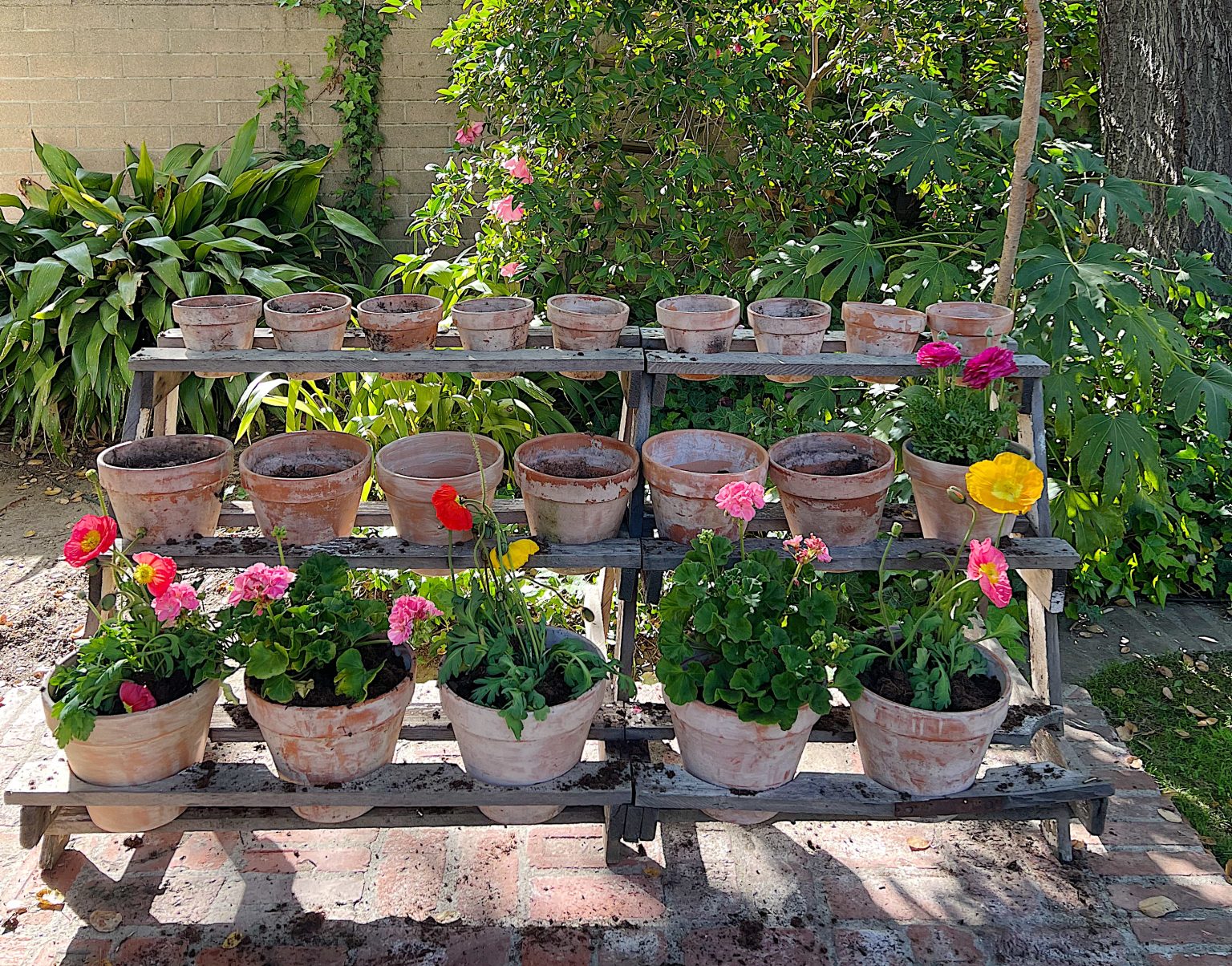A New Way to Plant a Spring Garden