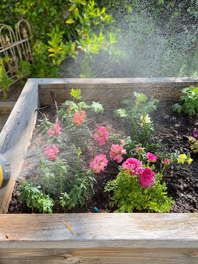 A New Way to Plant a Spring Garden