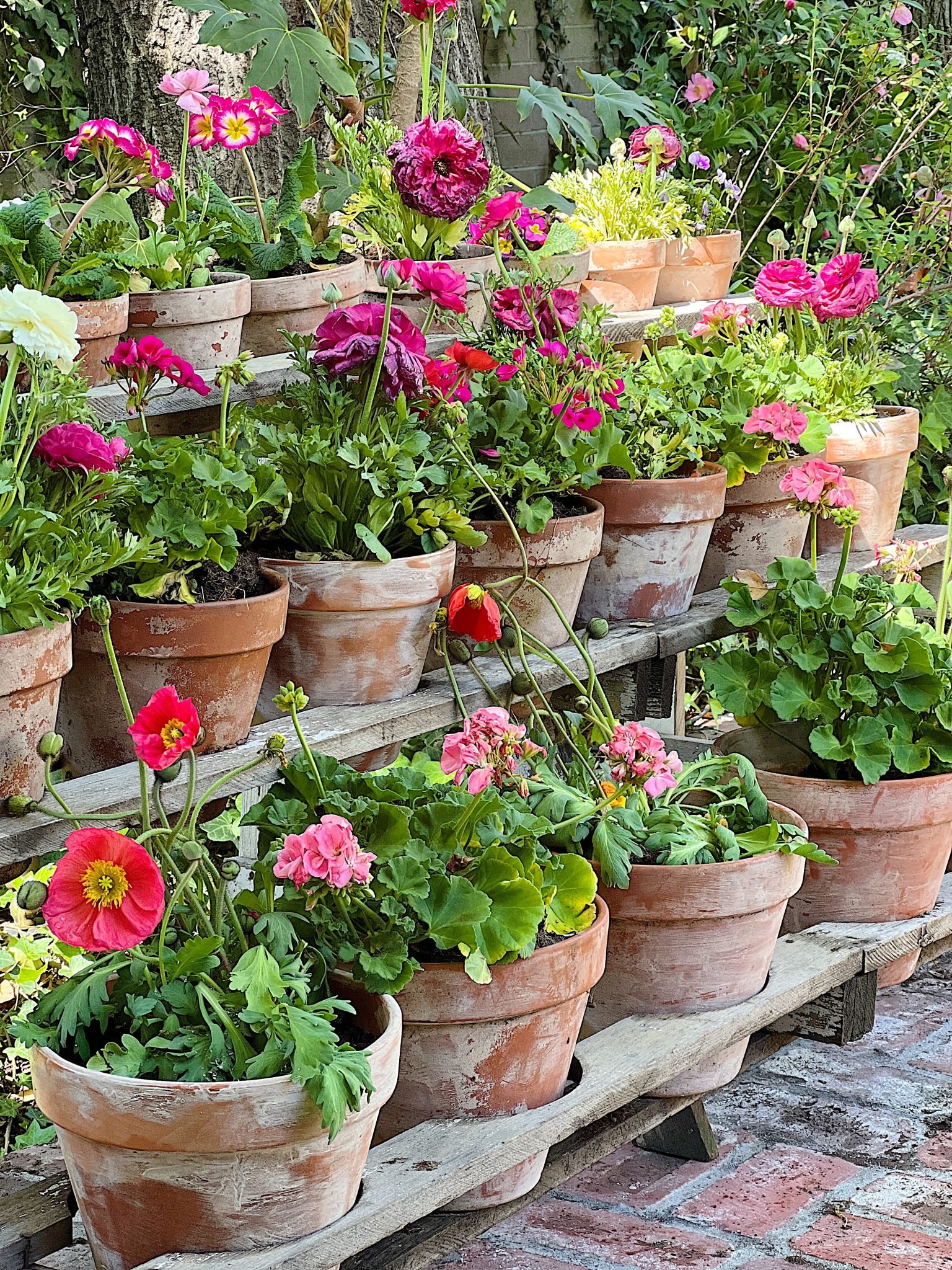 how-to-make-vintage-garden-pots-my-100-year-old-home