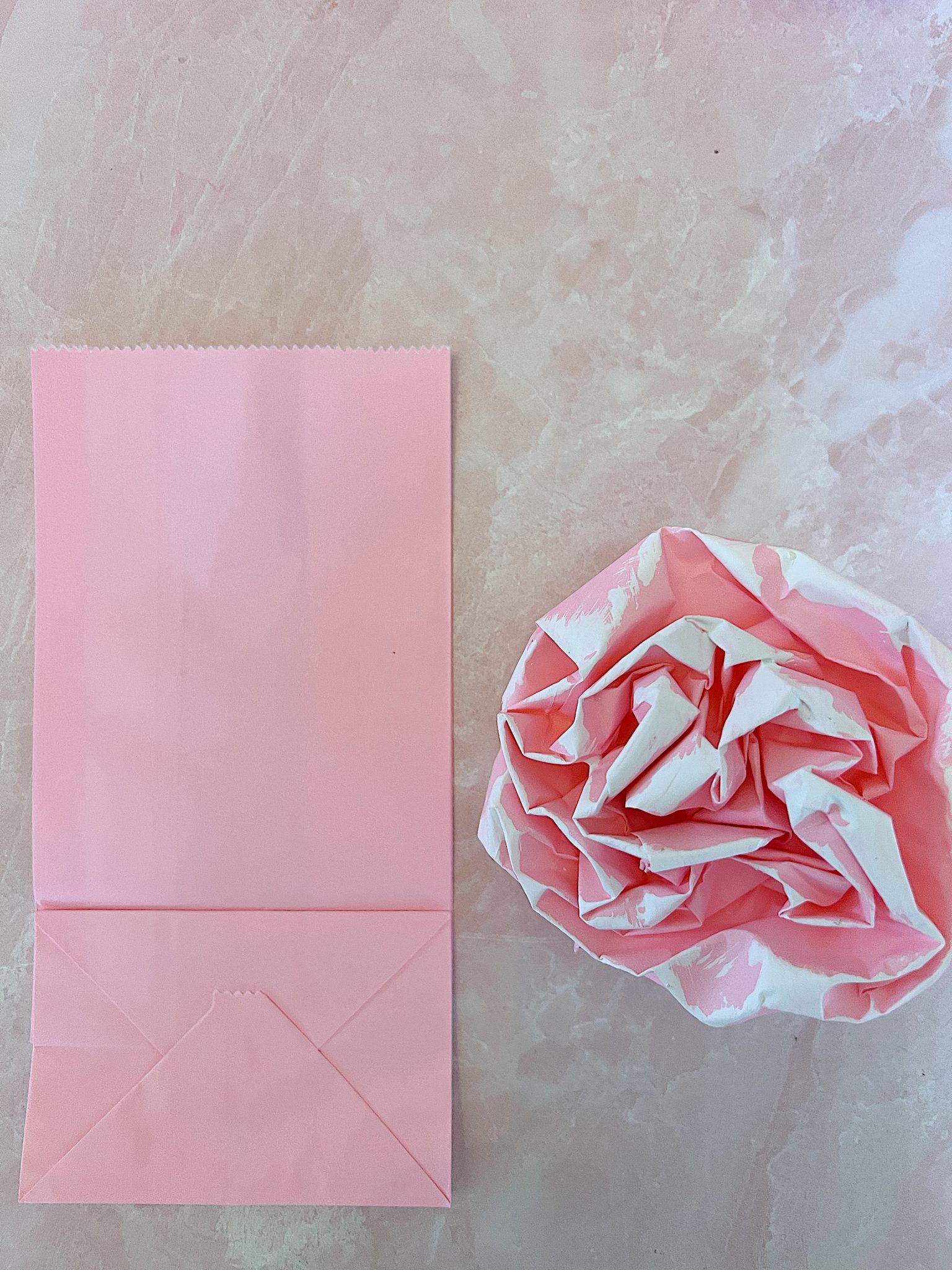 Small Lunch Bag to Painted Rose