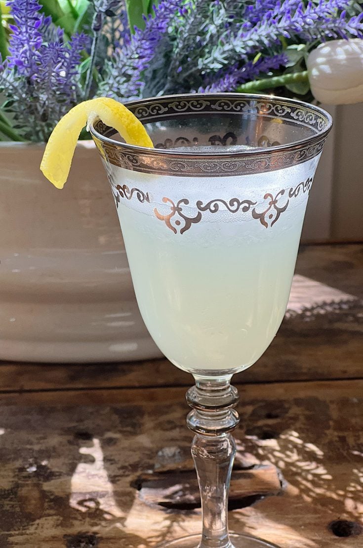 Lemon-Lime Vodka Slush