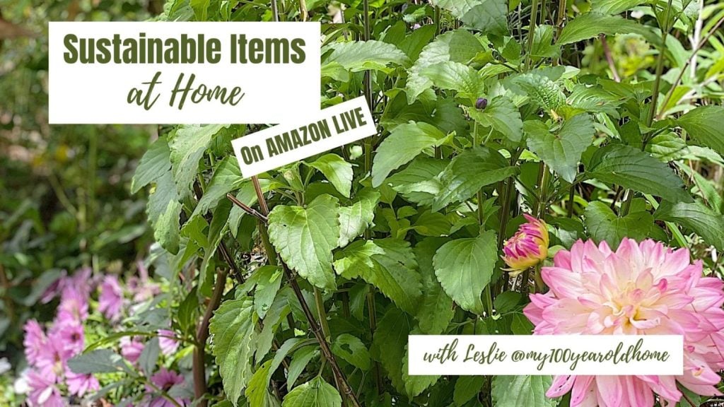 Sustainable Items at Home