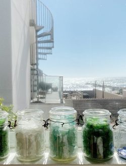 View from the Beach House Window with Sea Glass