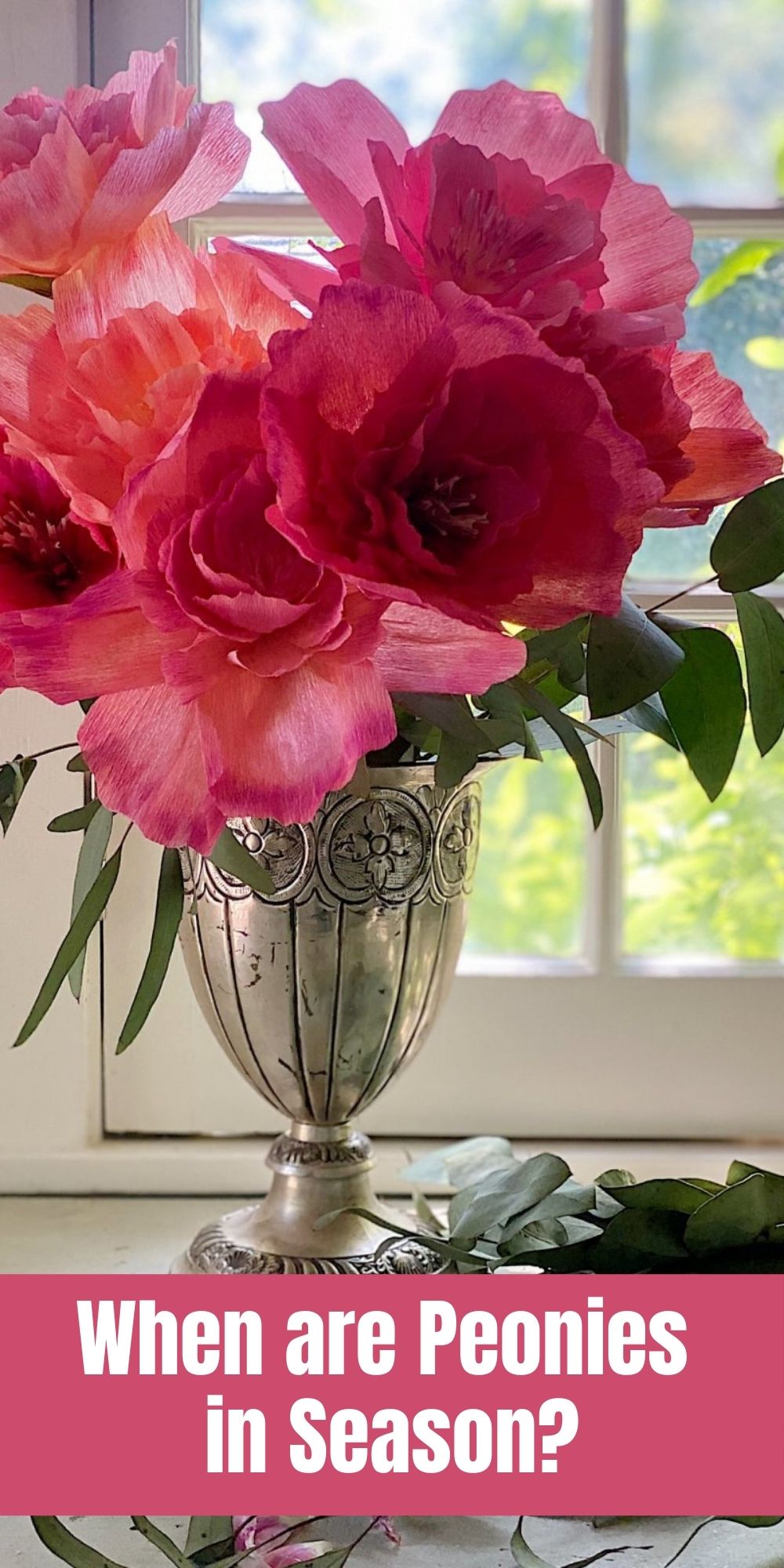 I love pink peonies, white peonies, and every kind of peony. So when are peonies in season so I can make a peonies bouquet for my kitchen?