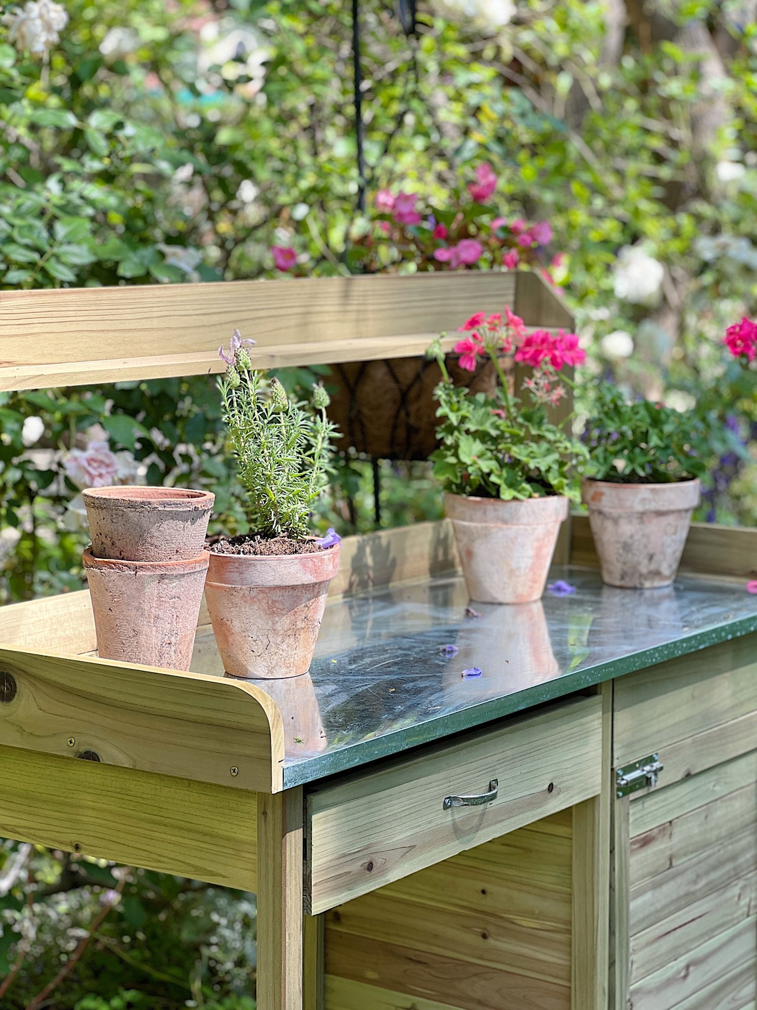 Five Reasons You Need a Potting Bench