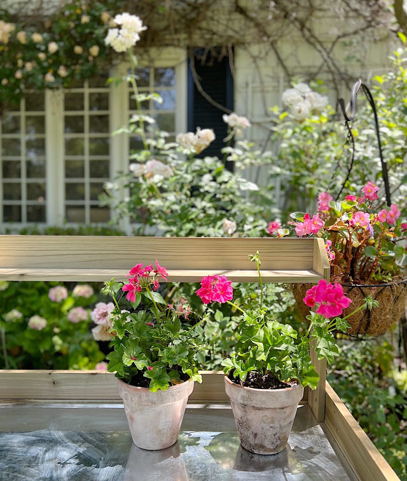 Five Reasons You Need a Potting Bench