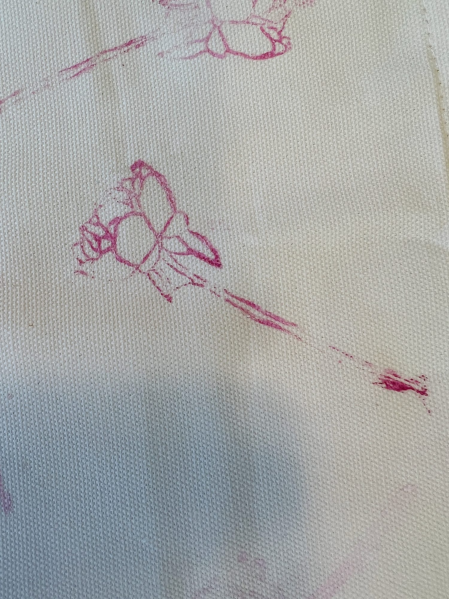 Pink Peonies Pillow DIY Painting Pattern