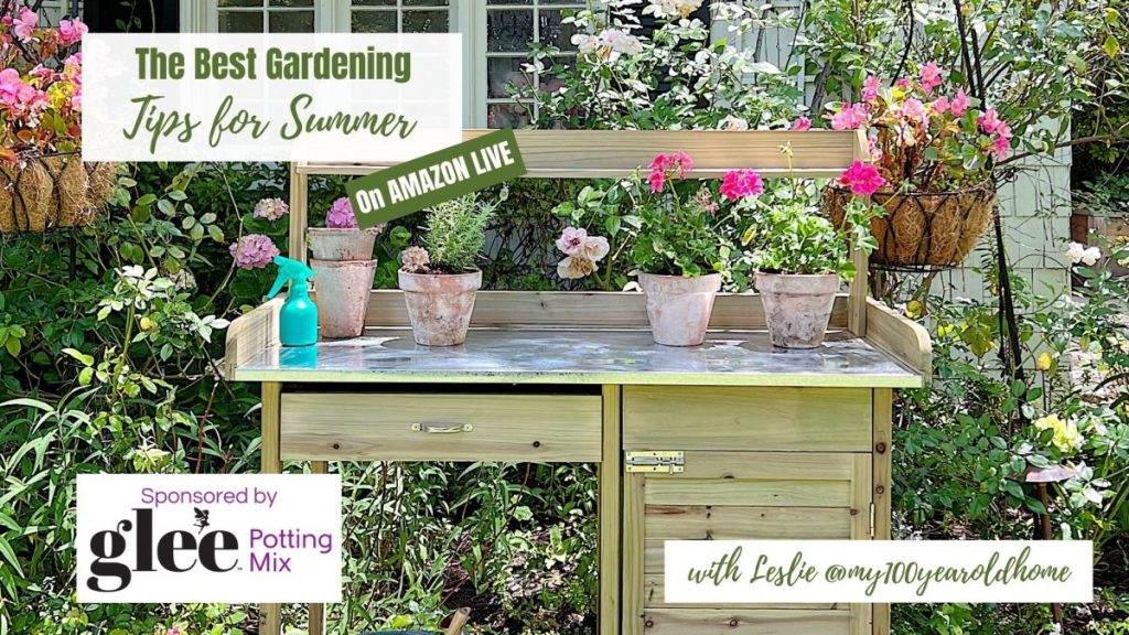 The Best Tips for Summer Gardening