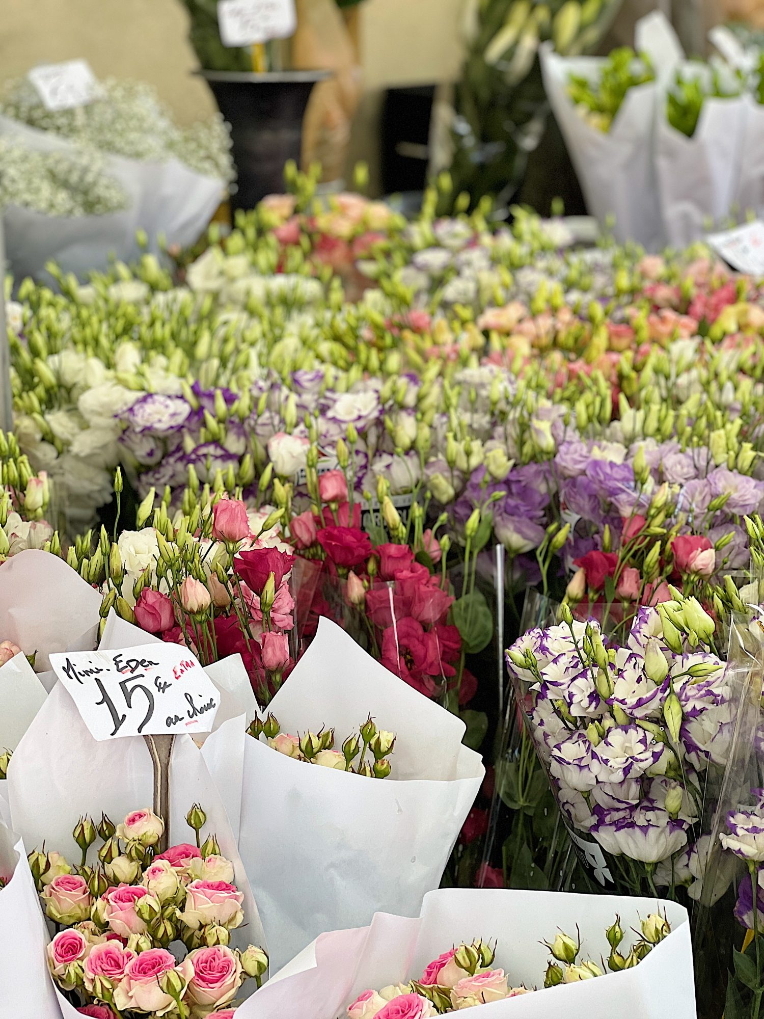 A Day in Provence