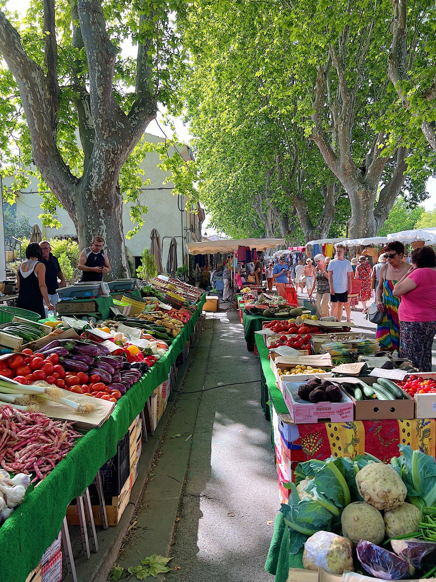 A Day in Provence