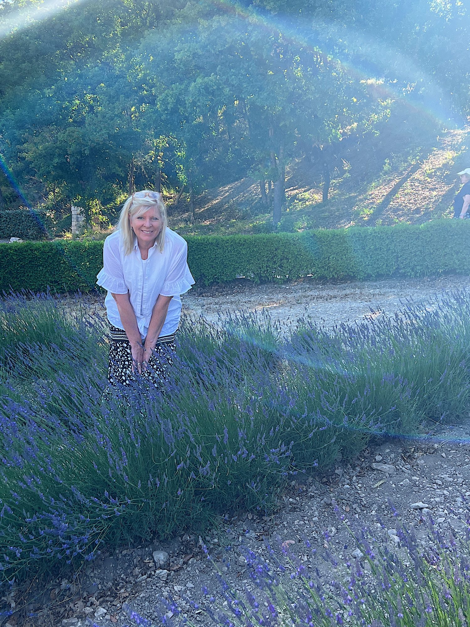 Au Revoir Provence