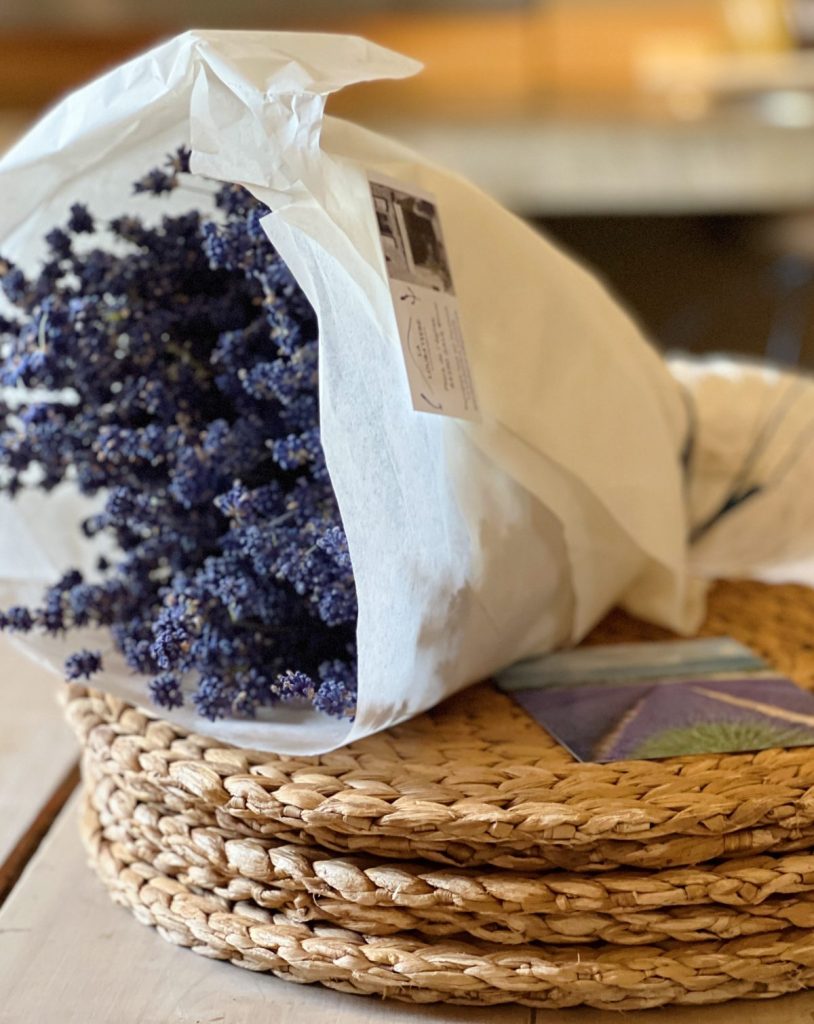 Fresh Lavender in Provence France