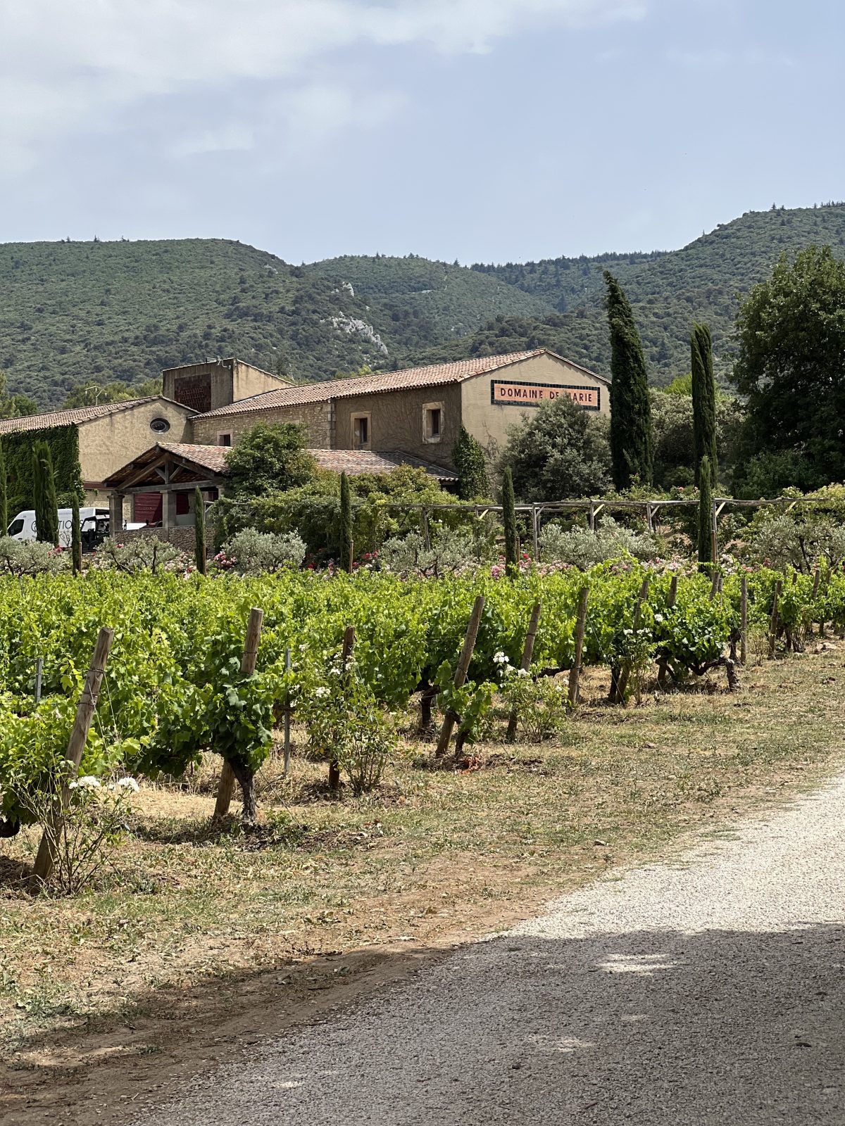 Last Day in Provence