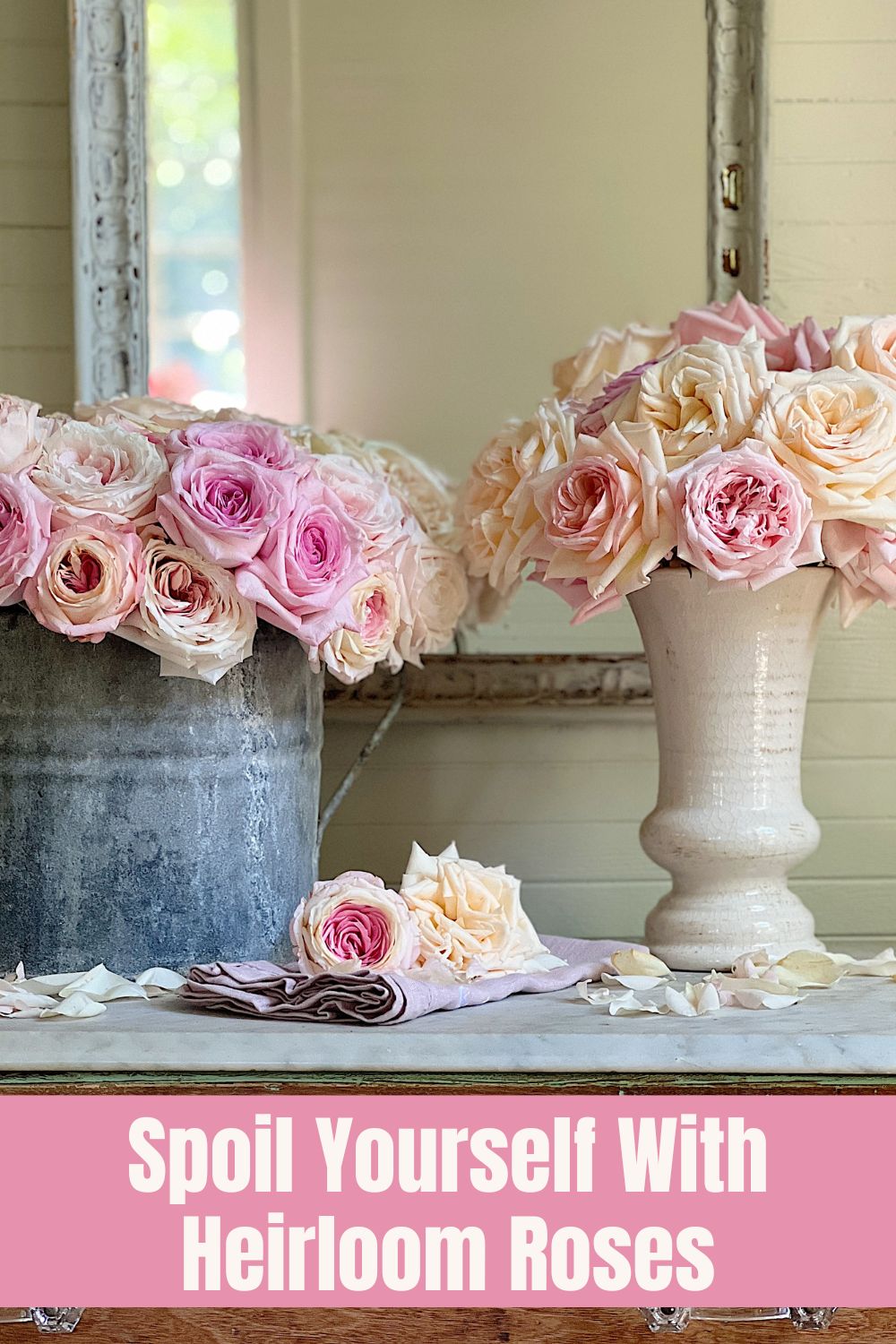 Heirloom roses are my absolute favorite. Grace Rose Farm heirloom roses are beyond gorgeous and their scent is heavenly!