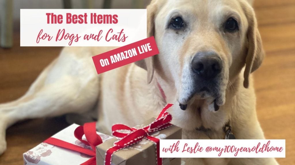 The Best Items for Dogs and Cats (1)