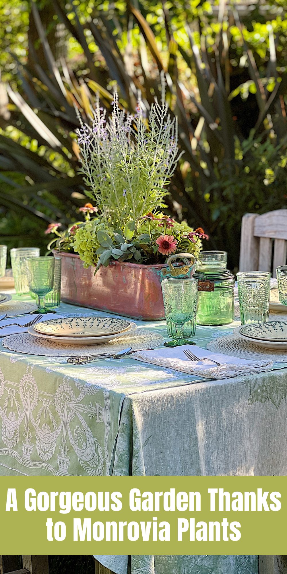 I am hosting an end of summer dinner party, set in our garden which is lush and gorgeous thanks to Monrovia plants.