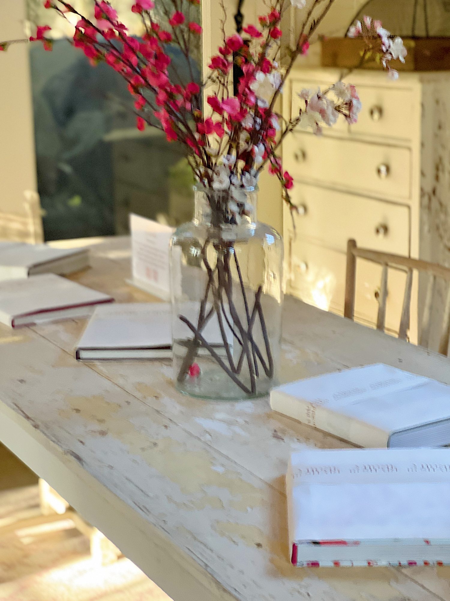 The Book Launch Backyard Party