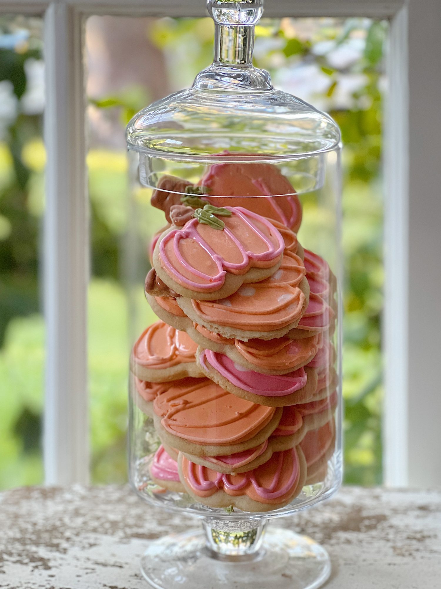 My Favorite Halloween Sugar Cookies in a Jar