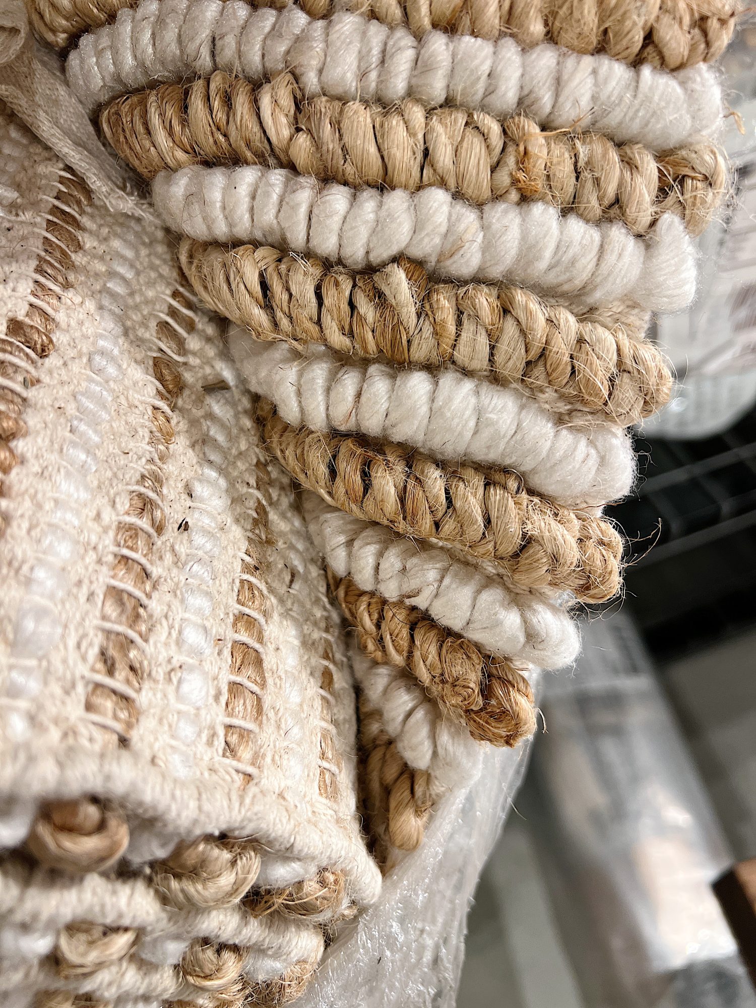 Thrifty Shopper and the Beach House Rug
