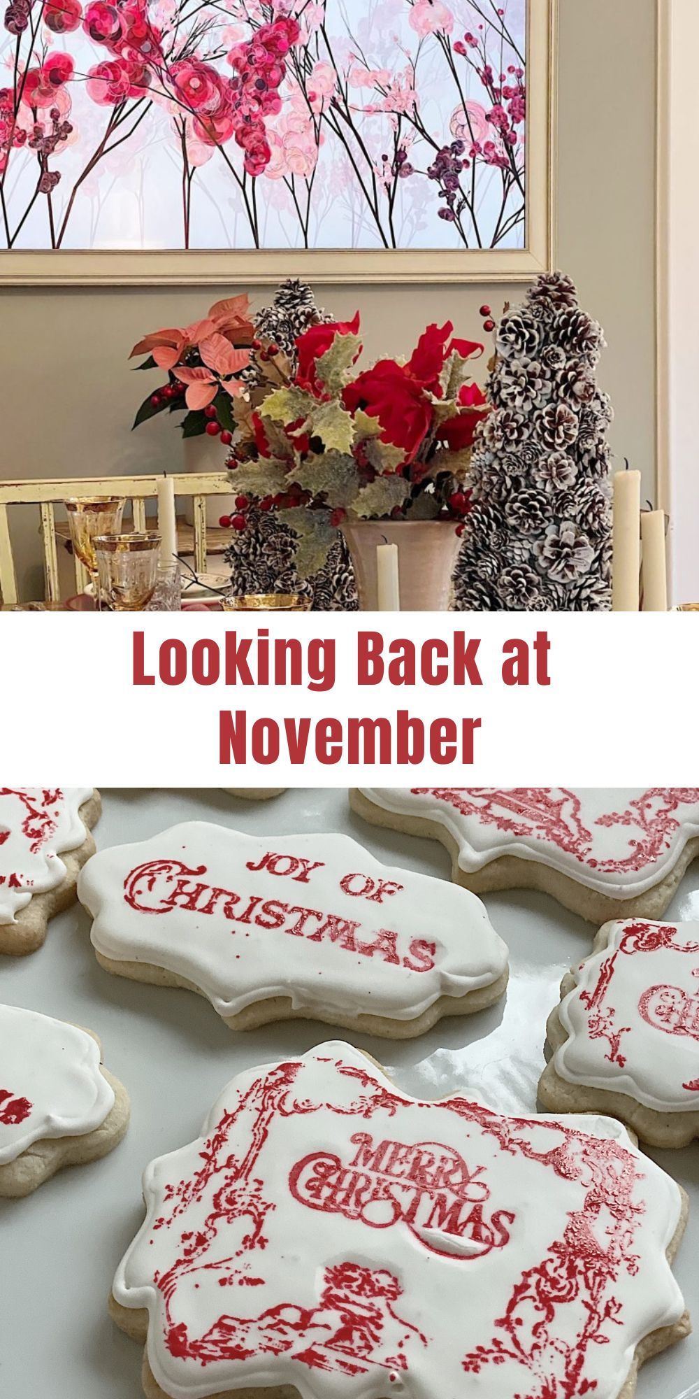 Wow! What a month November was. Today is our monthly feature called Looking Back which is a roundup of all of the posts for the month!