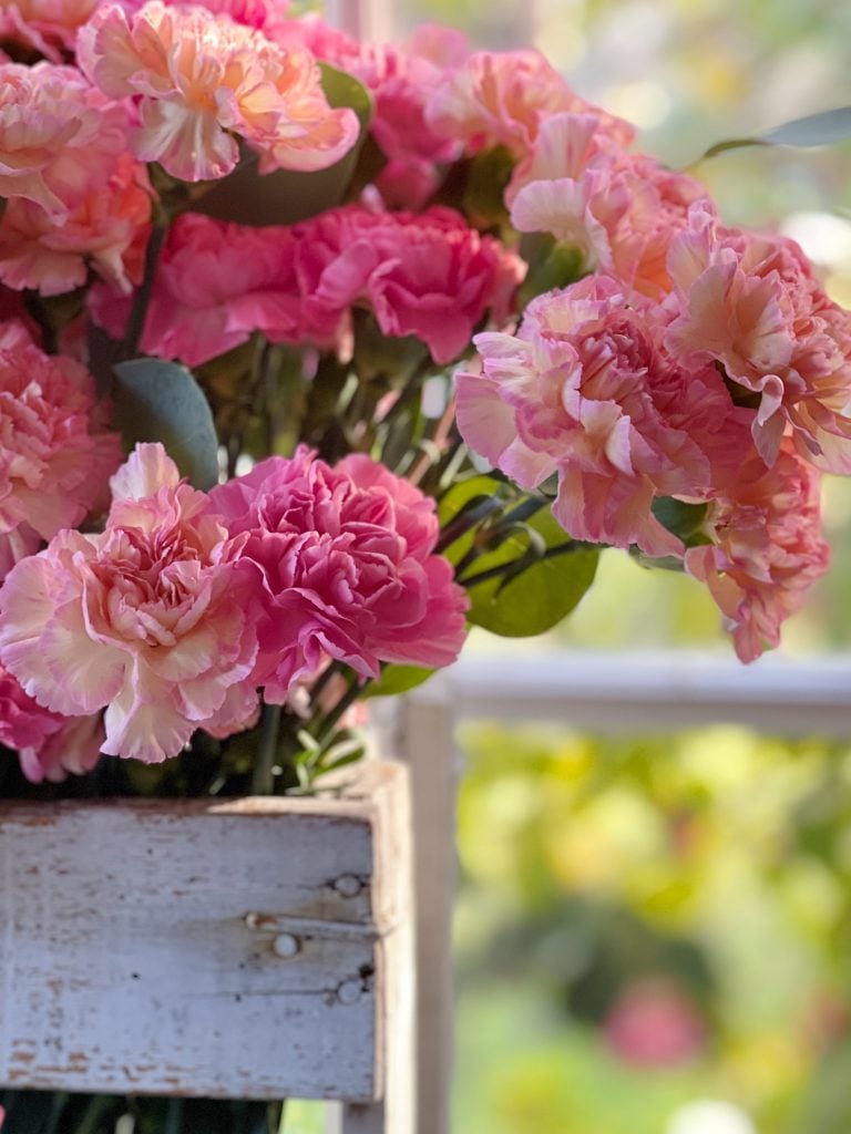 pink carnations in a wooden crate in front of a window