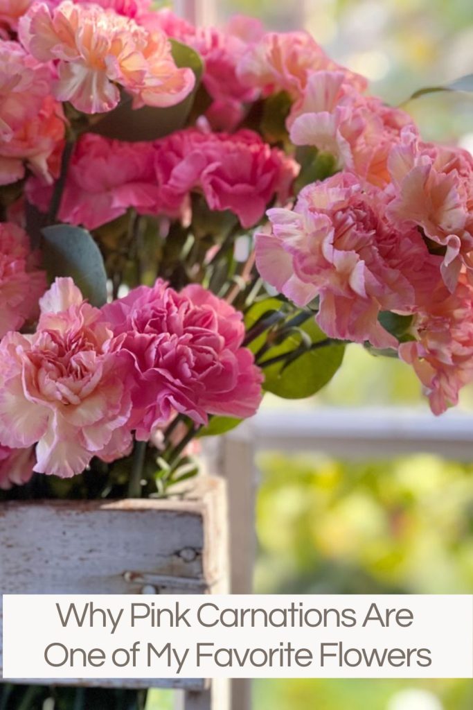 pink carnations in a wooden crate in front of a window