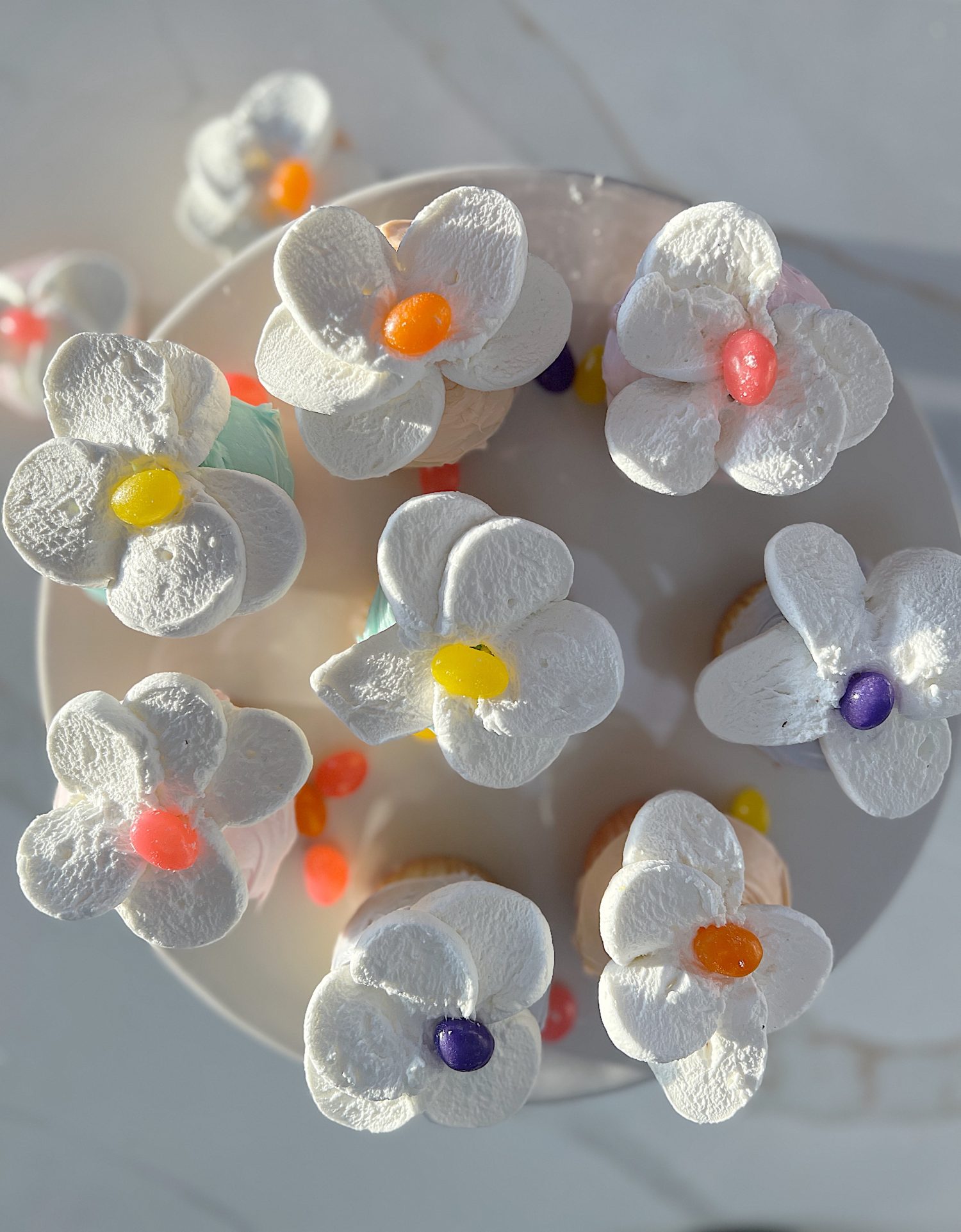 Spring colored cupcakes topped with a cut marshmallow and single jelly bean.