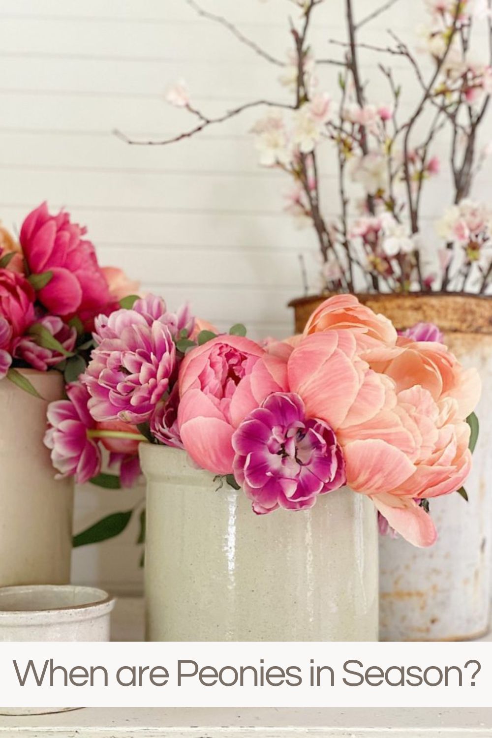 I love pink peonies, white peonies, and every kind of peony. So when are peonies in season so I can make a peonies bouquet for my kitchen? 