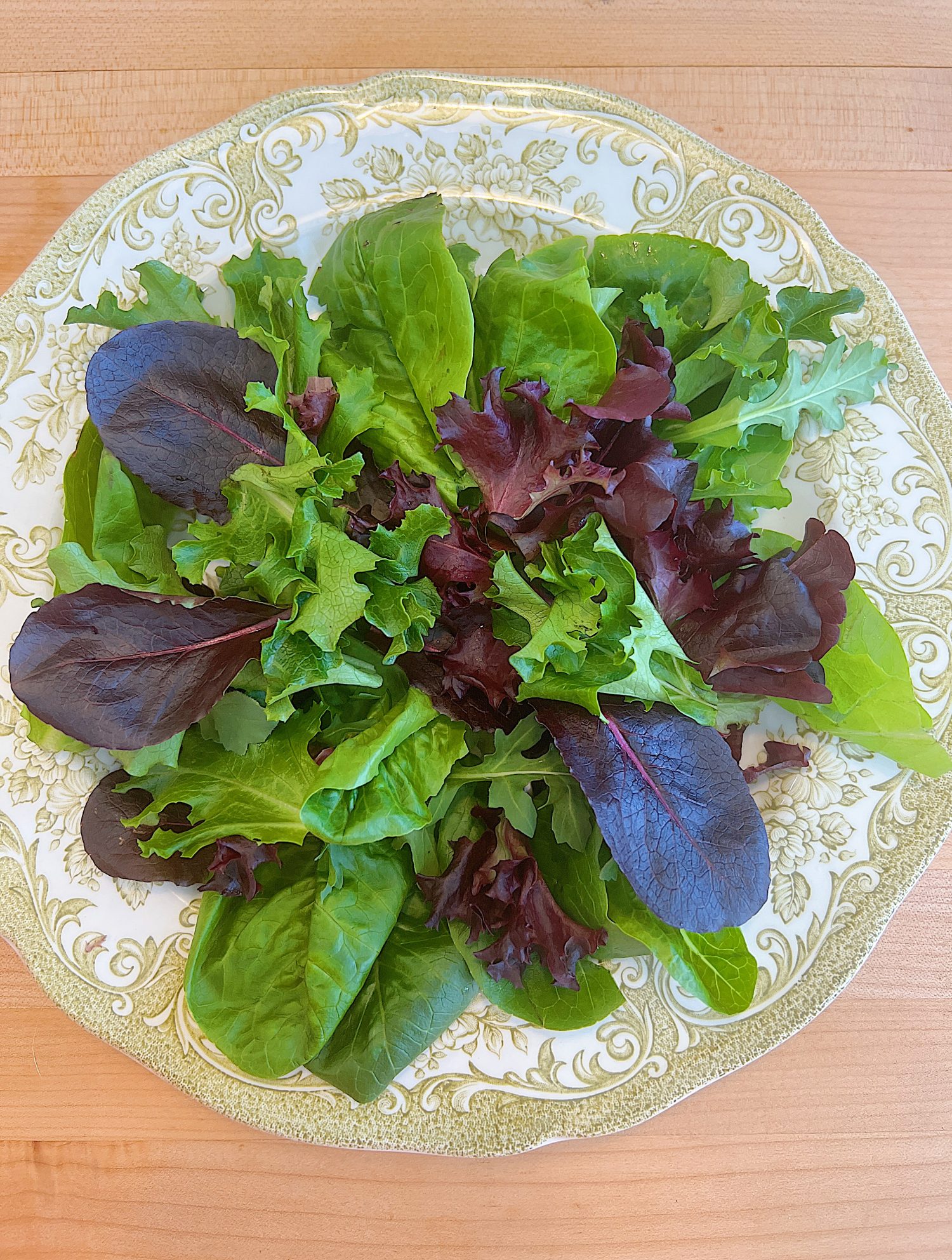 Spring Salad Recipe with Spice-Rubbed Salmon, mixed greens, tomatoes, avocados, cabbage, carrots, corn, and cilantro dressing.