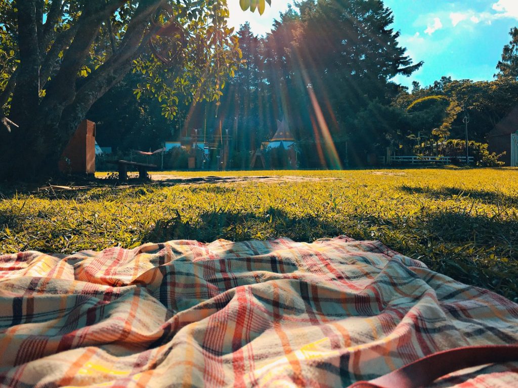 a picnic in the park with a plaid blanket on the grass
