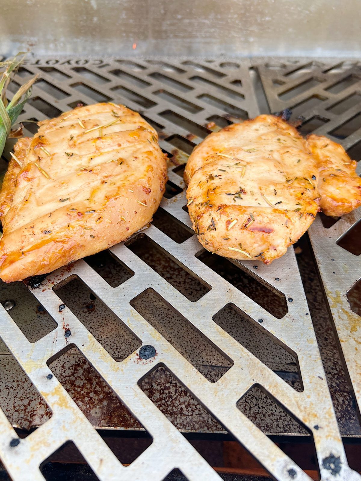 An electric pellet Grill which actually grills, smokes, bakes, and sears that is located on our third floor deck.