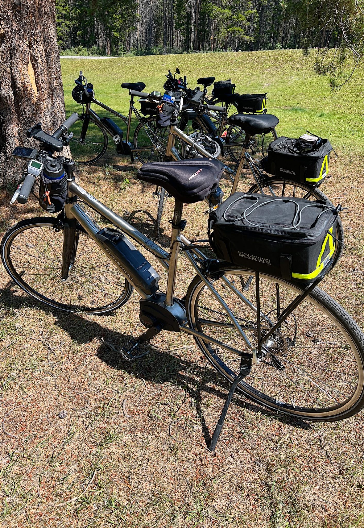 My bike in the Canadian Rockies on our bike trip.