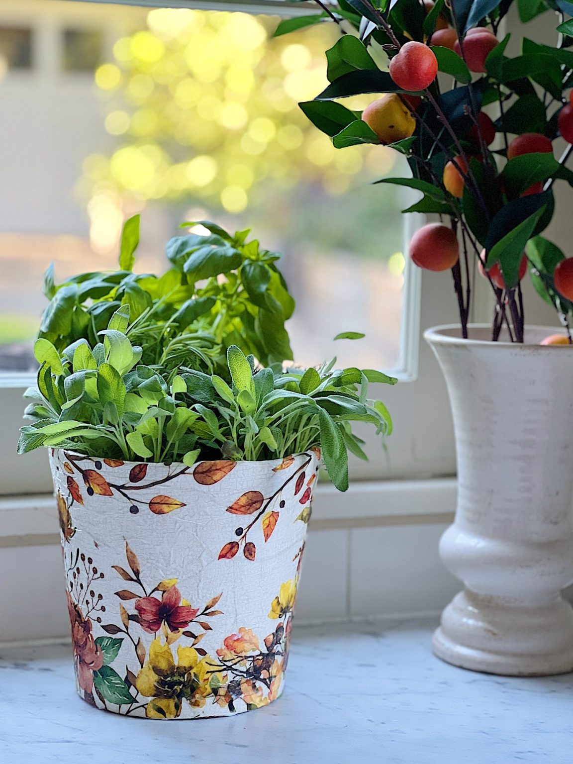 DIY Herb Pots For Your Kitchen MY 100 YEAR OLD HOME