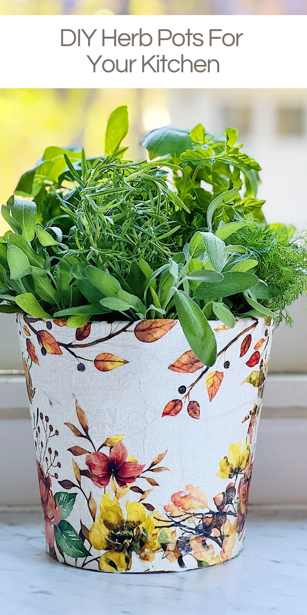 Summer gardening doesn't only have to take place outdoors. Today I am sharing how to make DIY herb pots to grow fresh herbs in your kitchen!