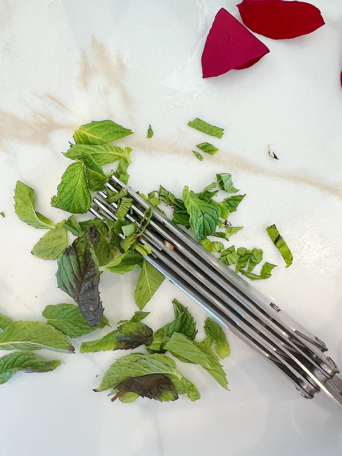 Recipe for Quinoa Salad with Fresh Herbs and Lemon Dressing