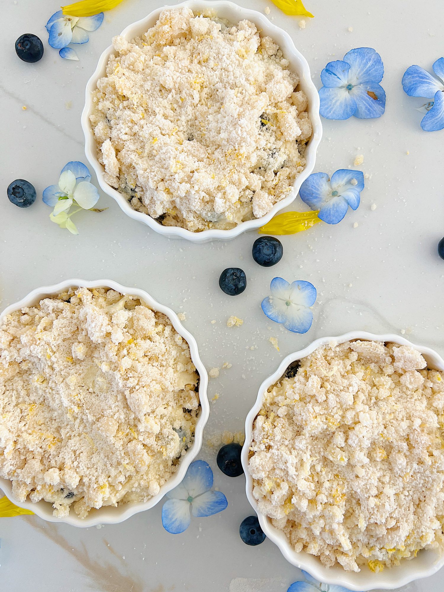 How to make a homemade lemon blueberry coffee cake.