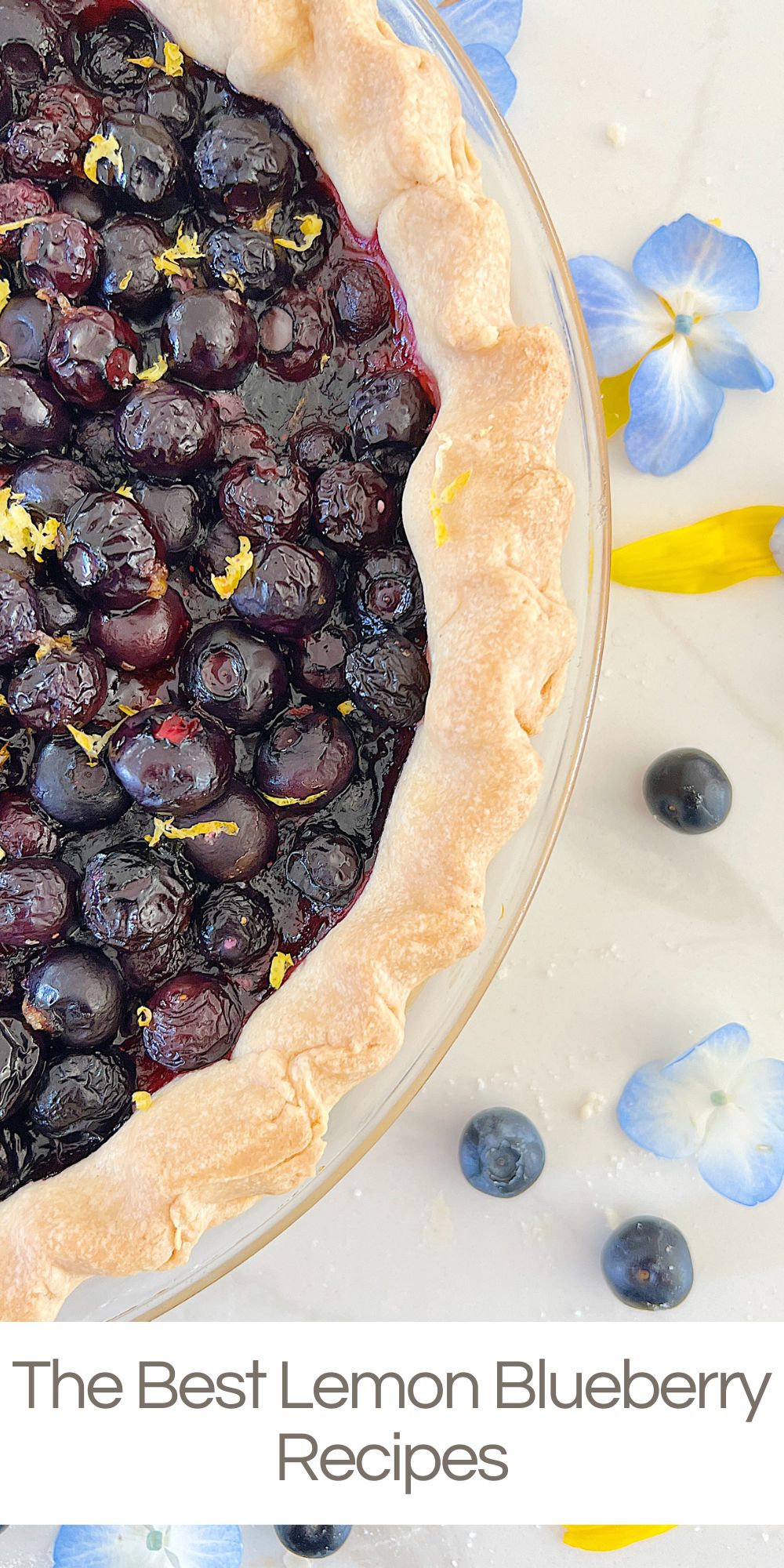 When it comes to fruits that capture both tangy and sweet, lemons and blueberries reign supreme. Lemon blueberry recipes are my favorite!