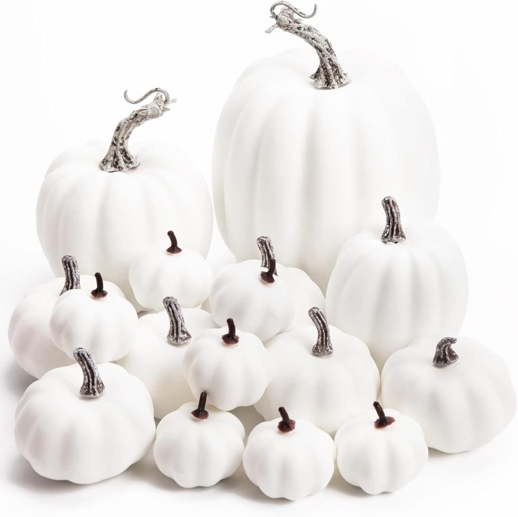 A charming collection of fall pumpkins, varying in size with dark stems, are beautifully arranged against a white background.