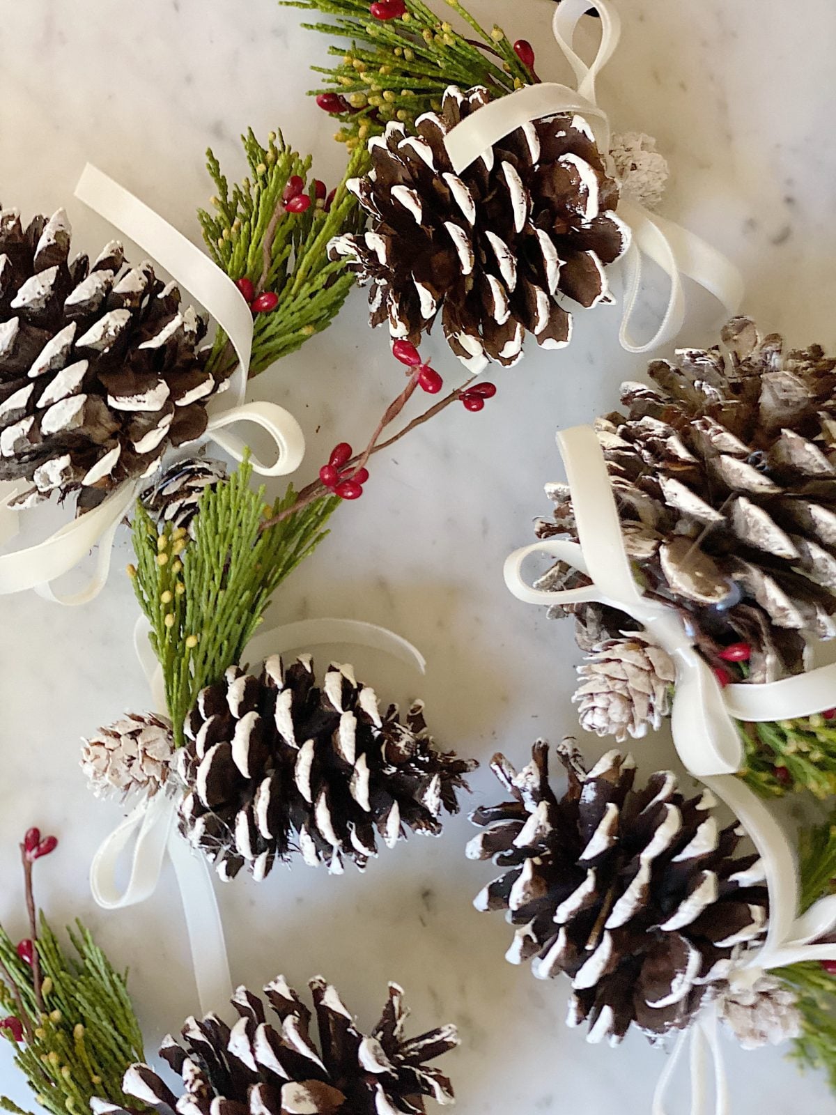 Hanging Pine Cones