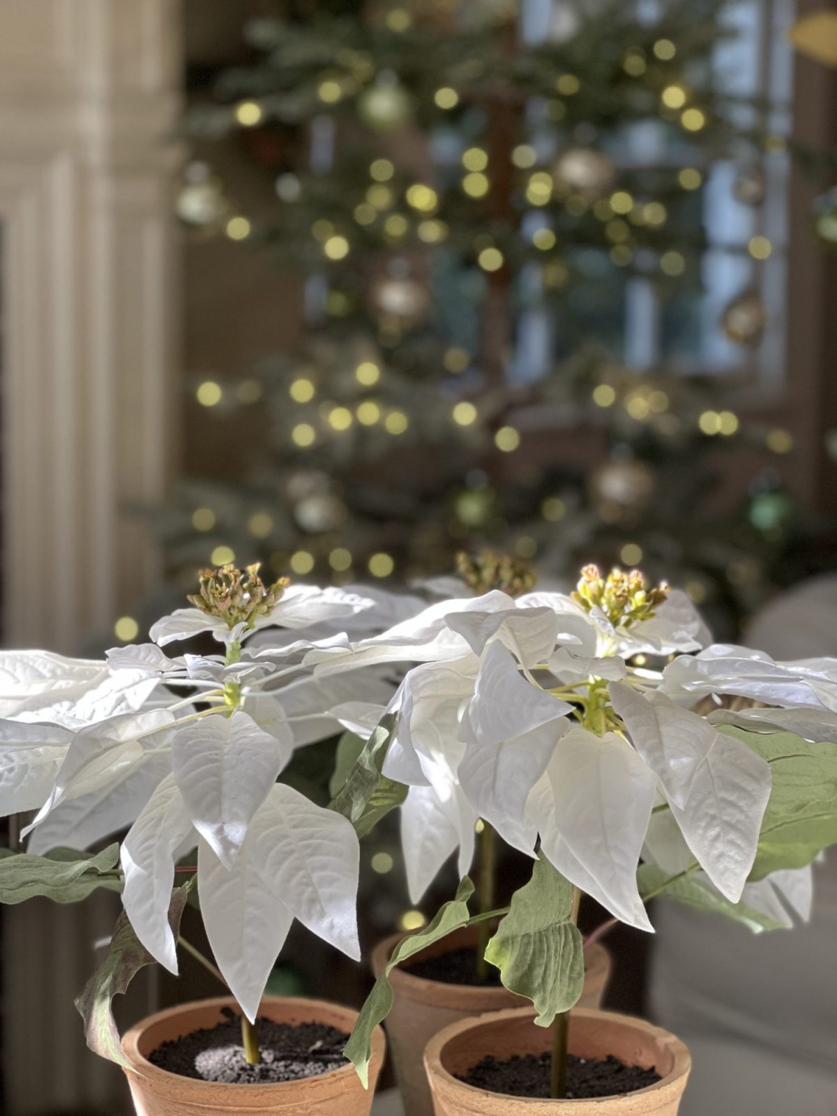 A living room decorated in neutral colors of tan, white, silver, and light green with silver frosted trees, white poinsettias and more holiday decor.