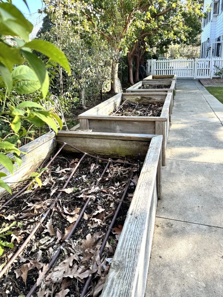 Preparing the raised vegetable beds for the new season of planting.