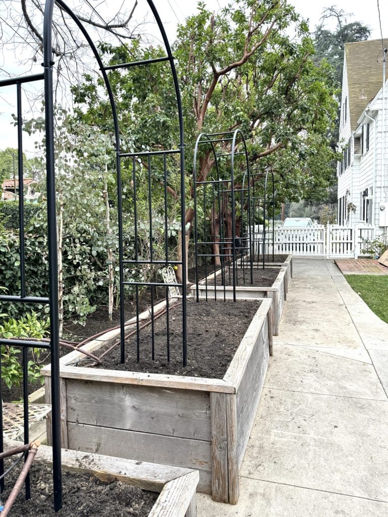 Four raised garden beds and three trellises installed.
