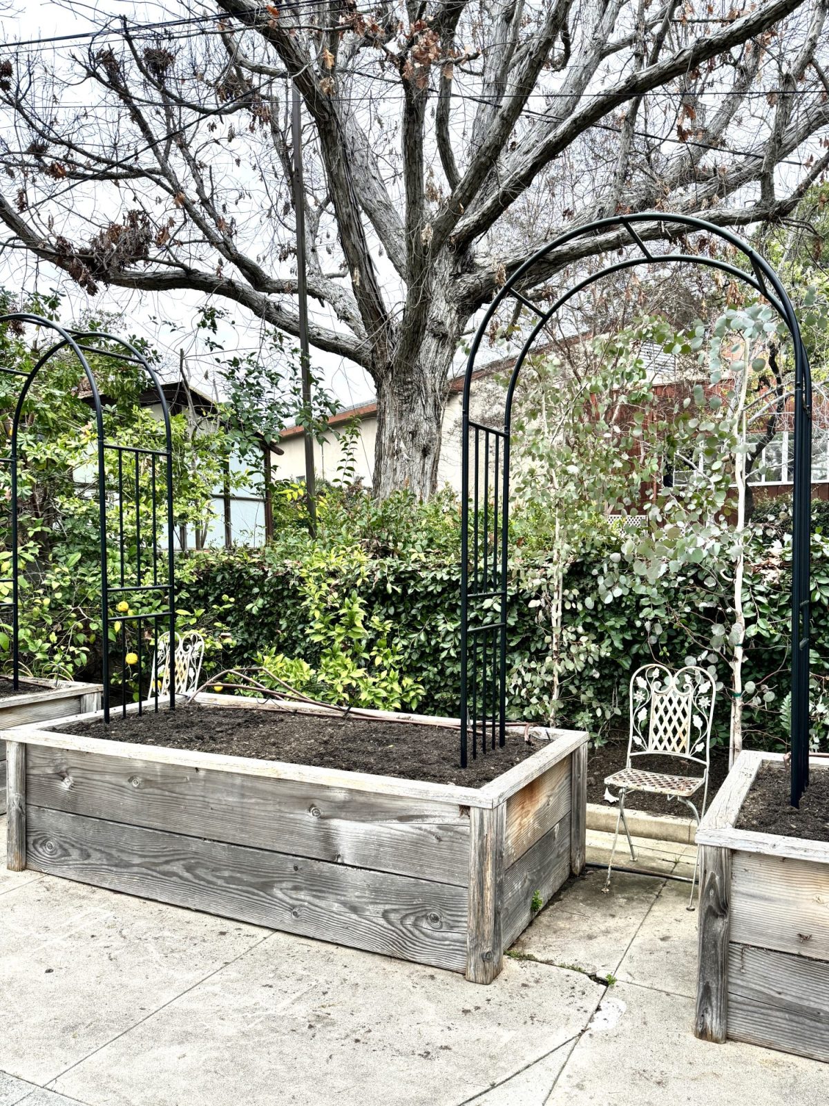 Four raised garden beds and three trellises installed.